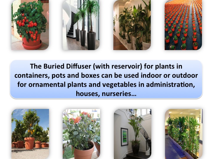 The Buried Diffuser with reservoir for the plants in containers irrigation