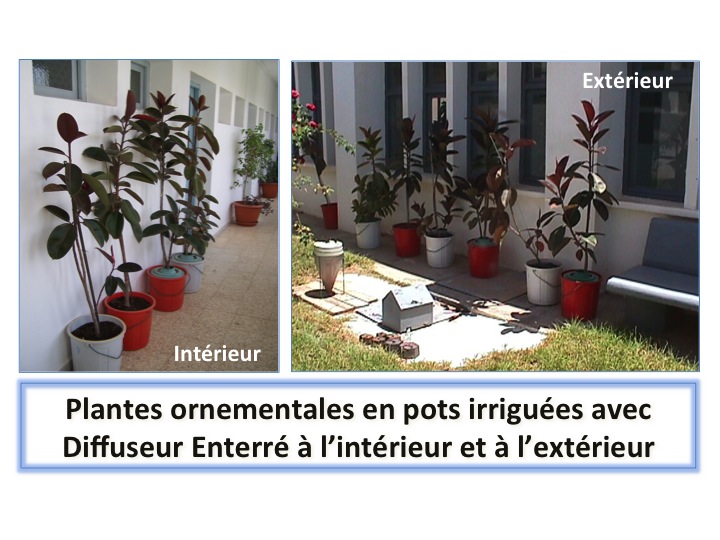 Diffuseurs pour plantes dans des pots